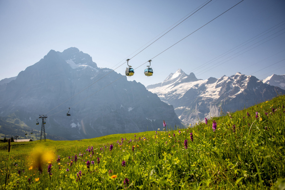 Grindelwald First