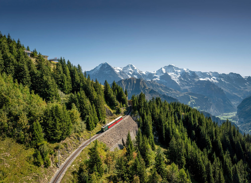 Schynige Platte