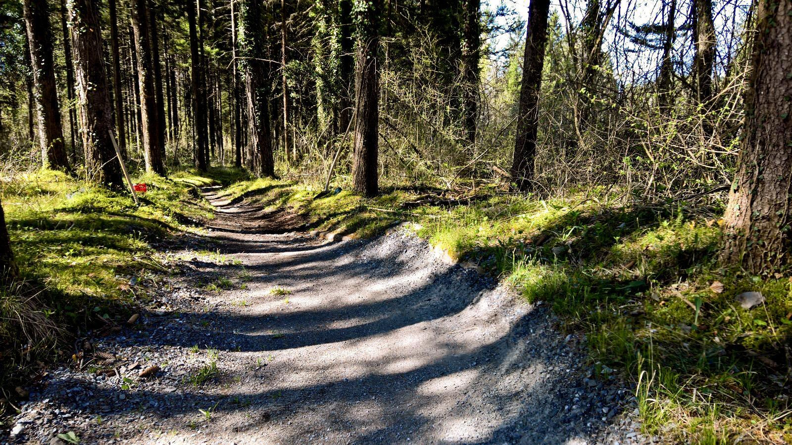 Biketrail Schwanden