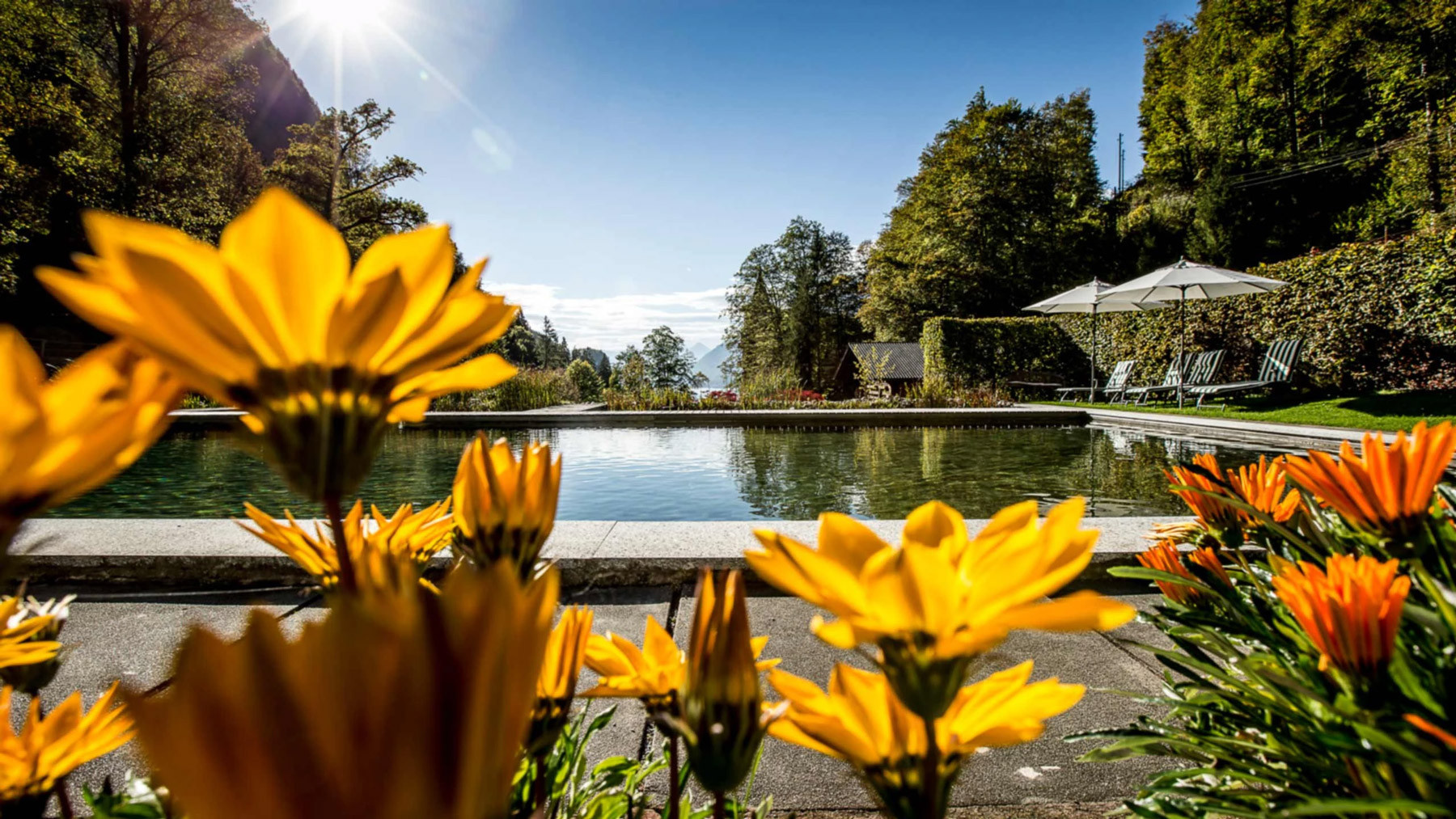 Ranger Tour Naturpark Giessbach