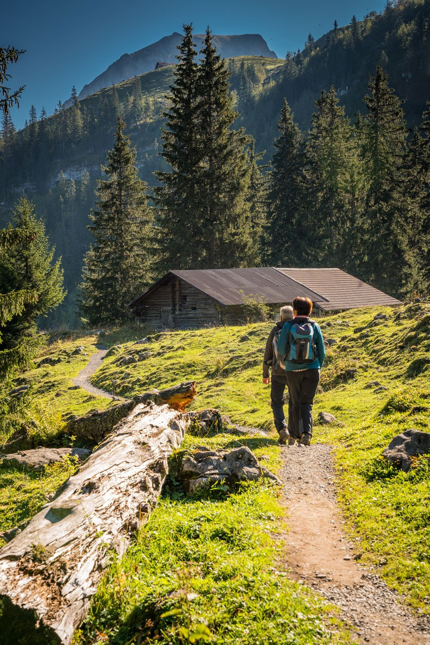 Schnitzlerweg Axalp