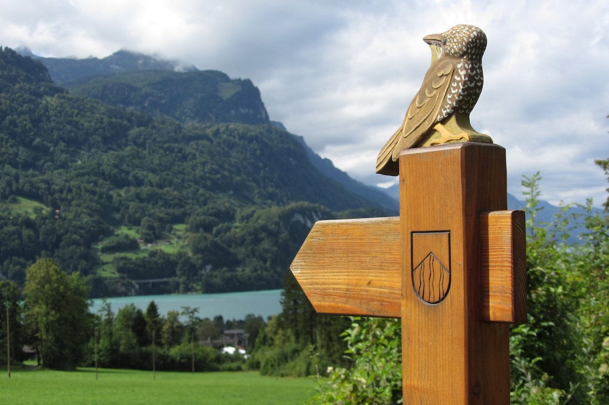 Wanderung Schwander Lebensweg