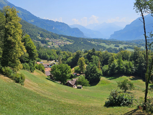 Spazierweg brienz wildpark schwanden 3