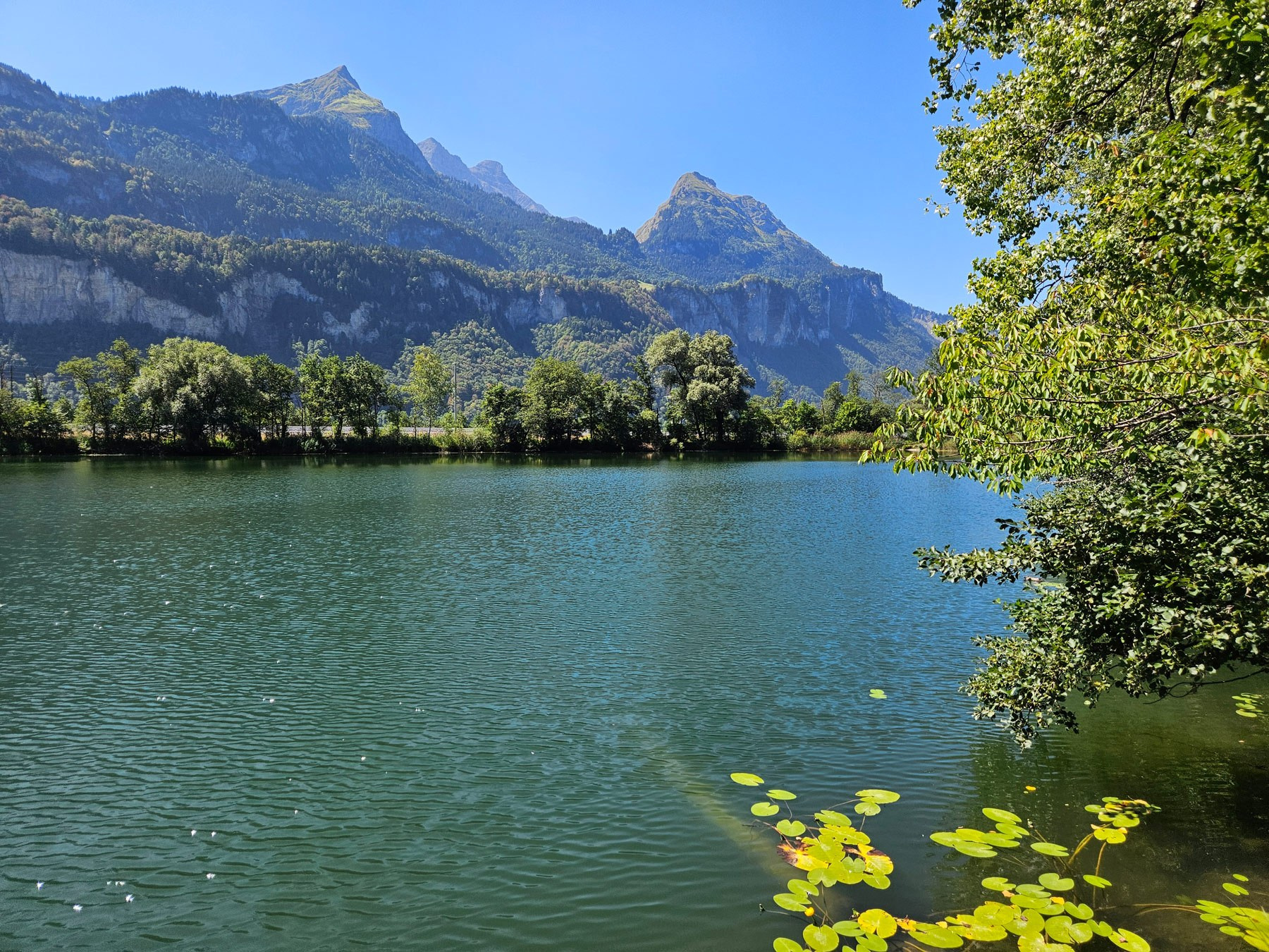 Brienz-Brienzwiler-Meiringen