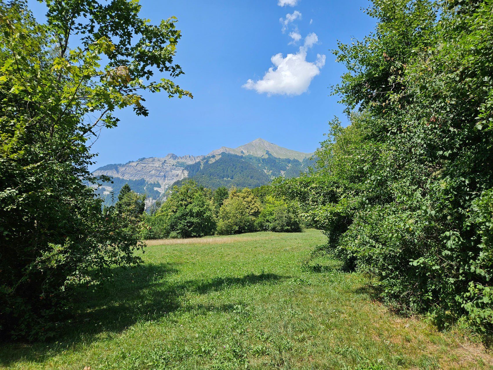 Brienz-Hofstetten Ballenberg
