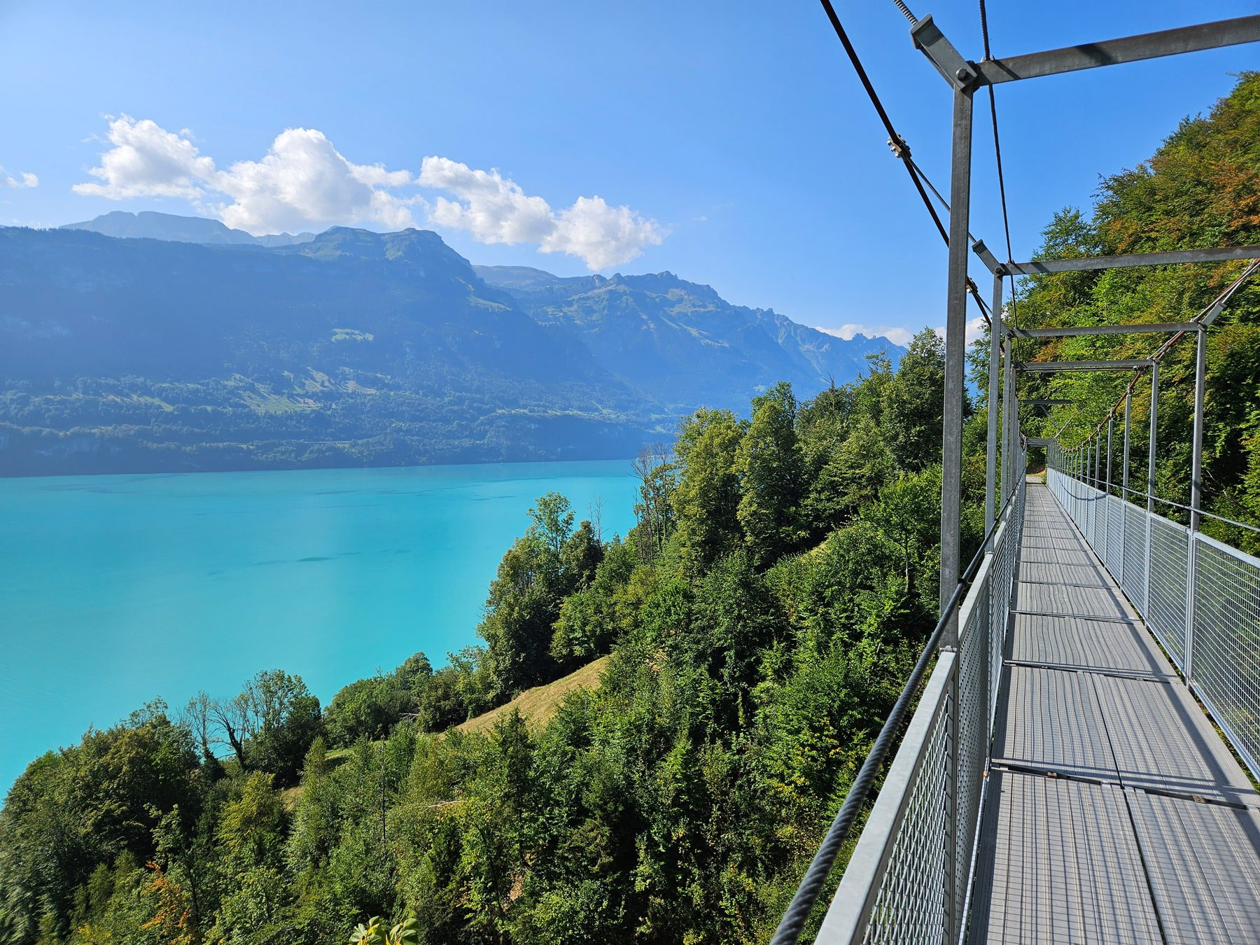 Brienz-Oberried via Hängebrücke Ebligen