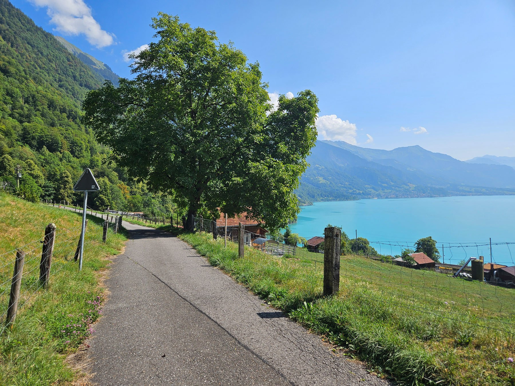 Brienz-Oberried via Hängebrücke Ebligen