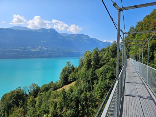 Wanderung brienz oberried 2