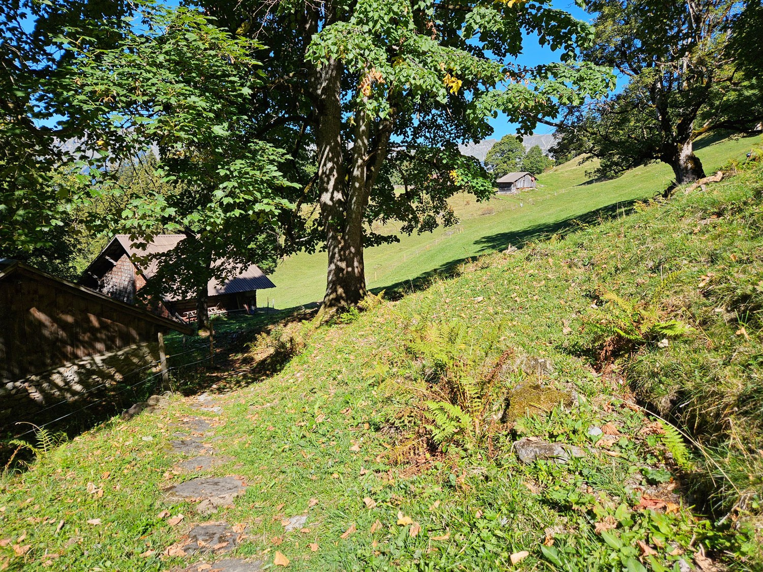 Wanderung Giessbach – Axalp via Bramisegg