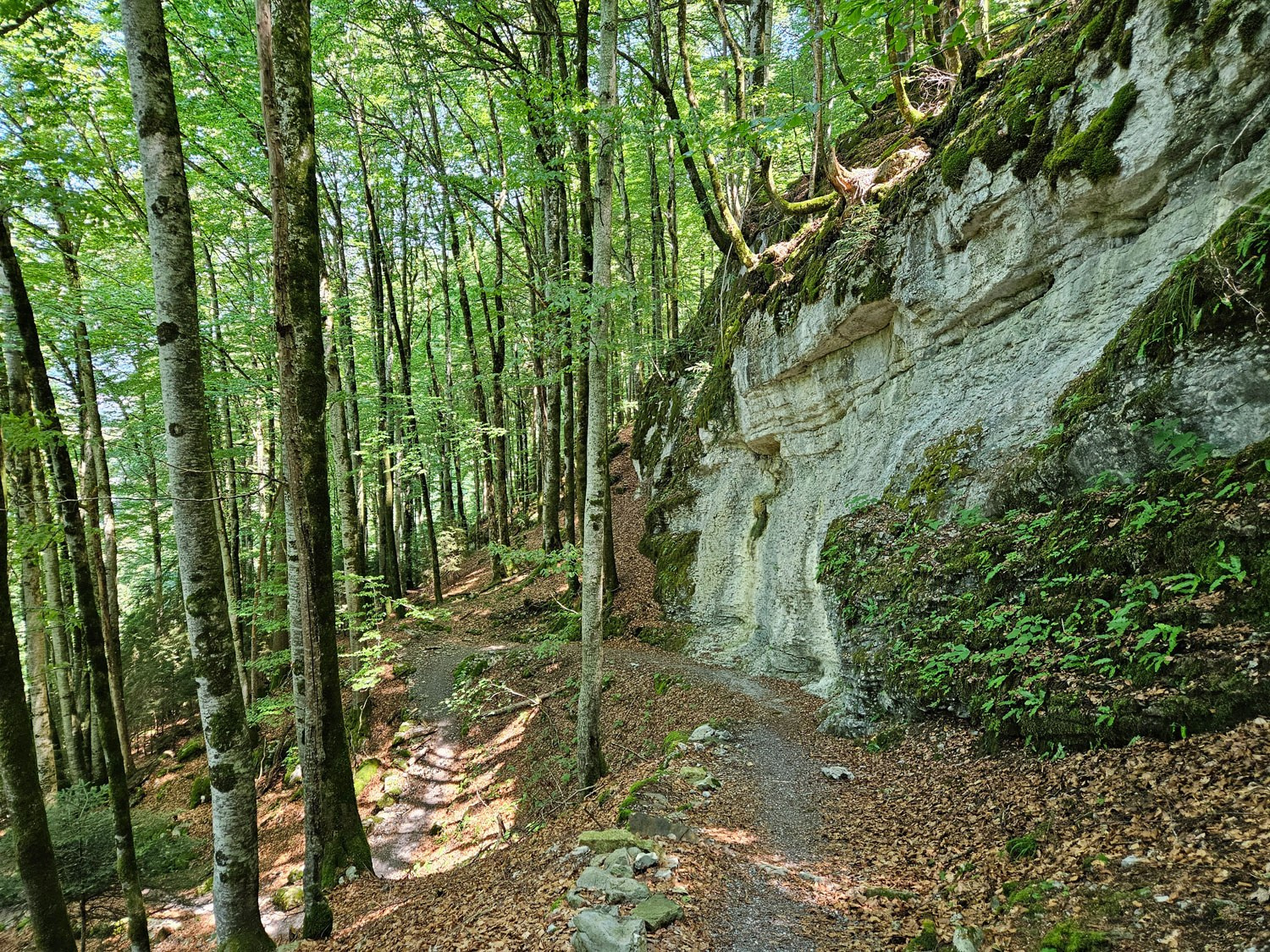 Wanderung Giessbach – Bramisegg
