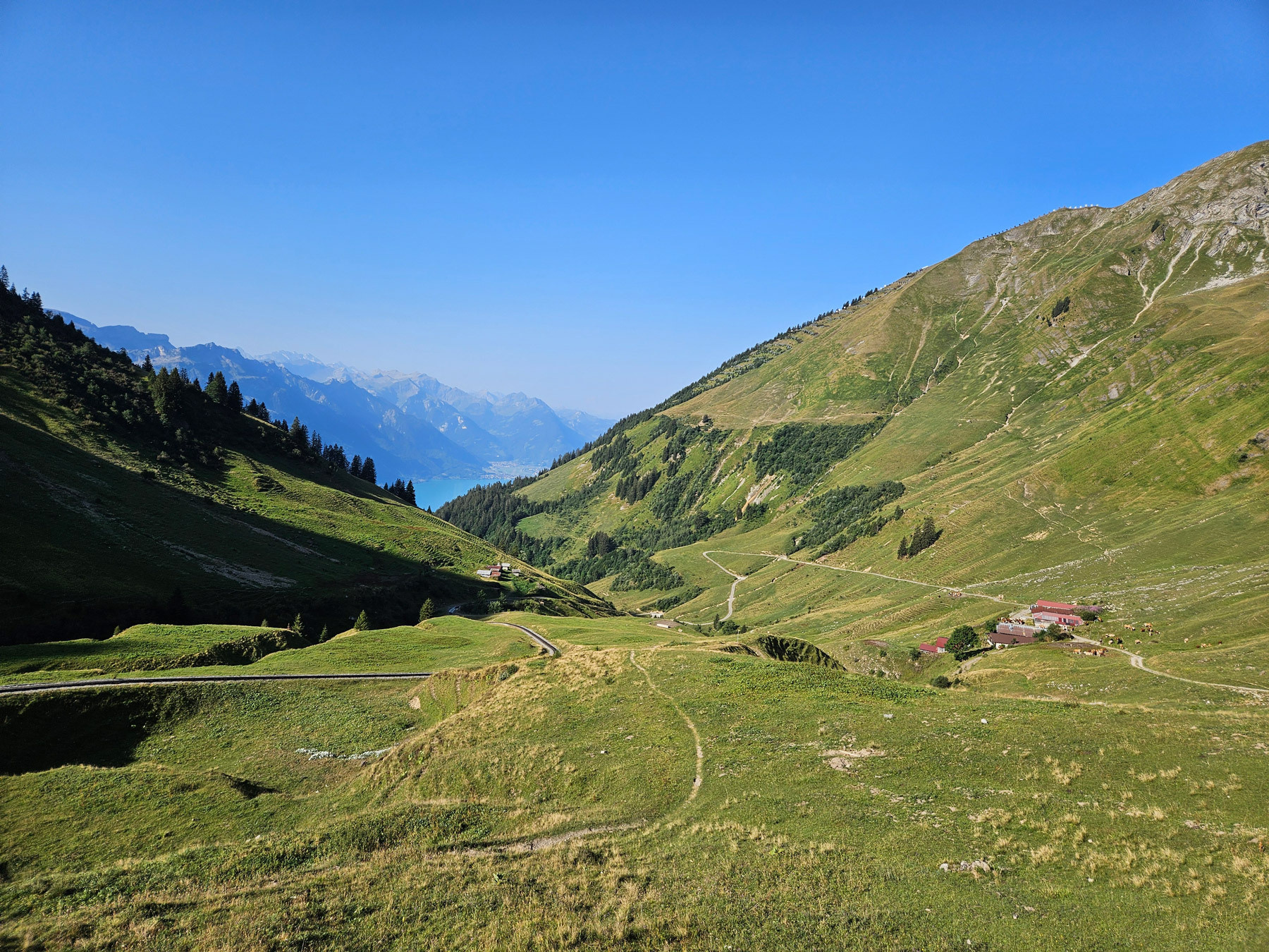 Planalp-Rotschalp-Oberried