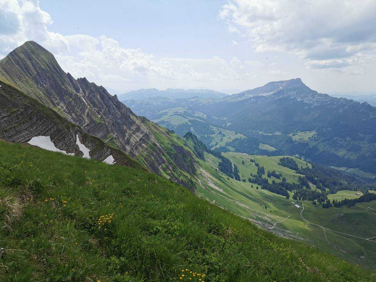 Planalp-Rotschalp-Oberried