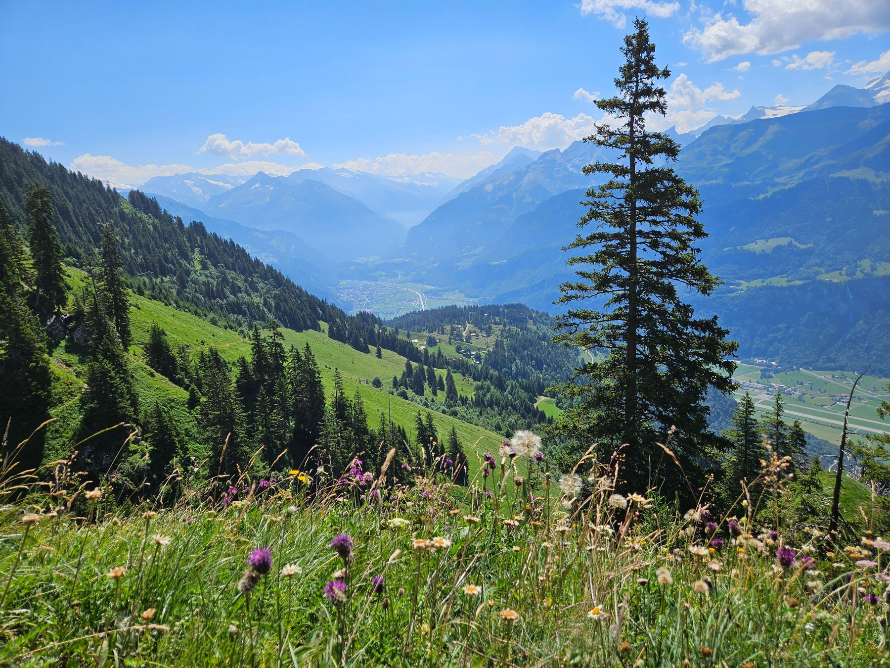 Wanderung Brienzer Rothorn – Brünig via Chäseren