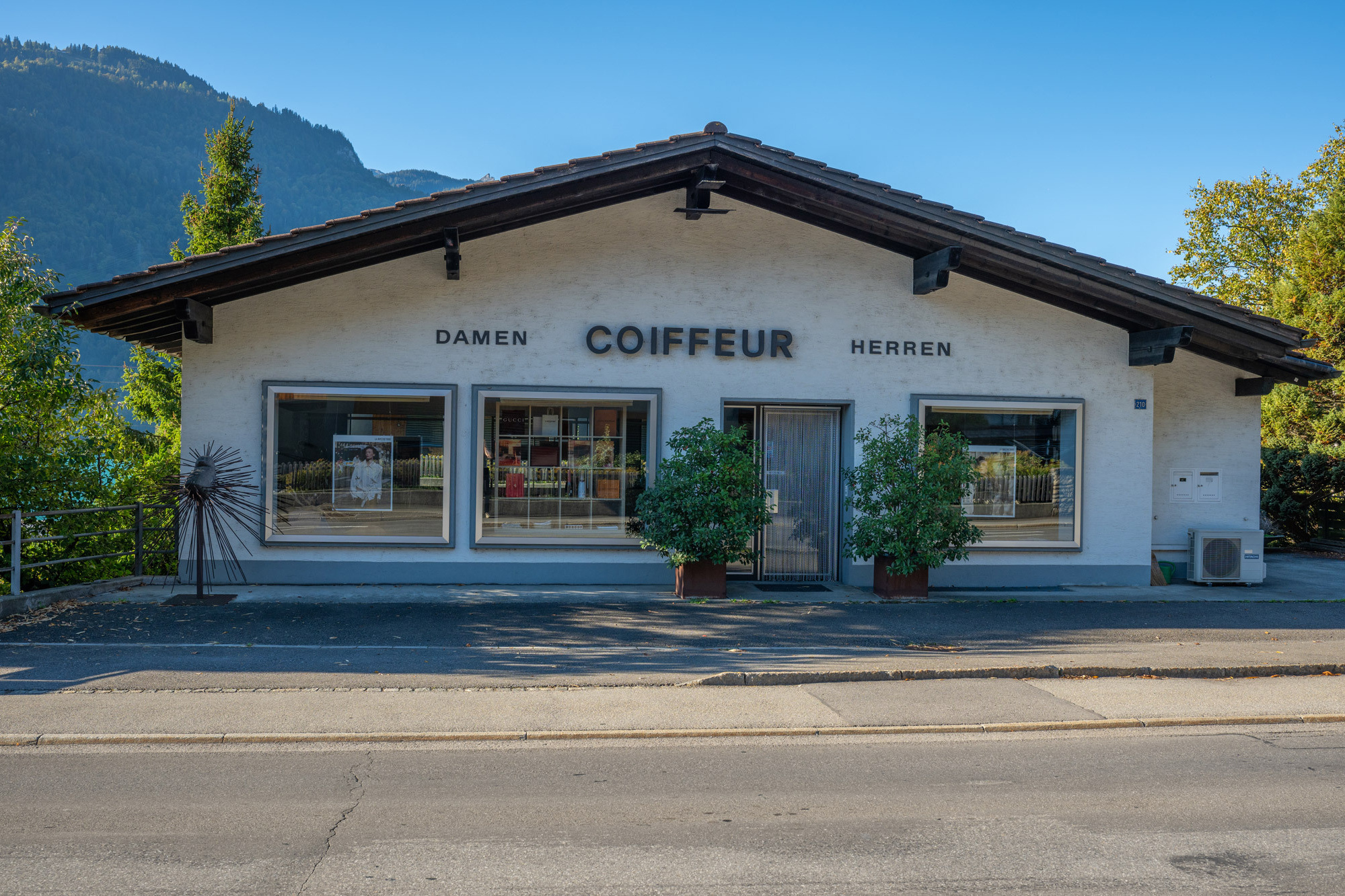 Coiffure hérisson