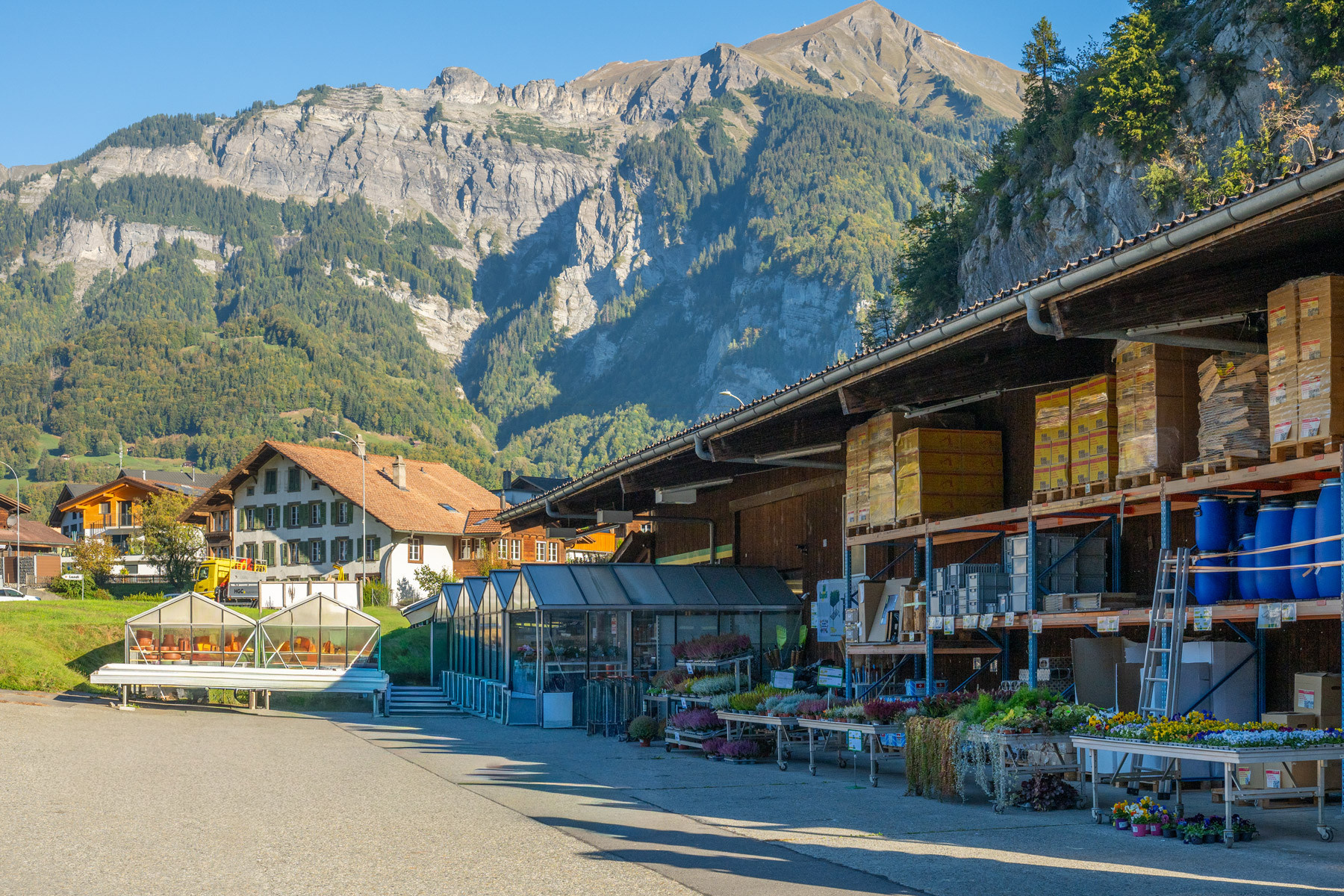 Landi Brienz