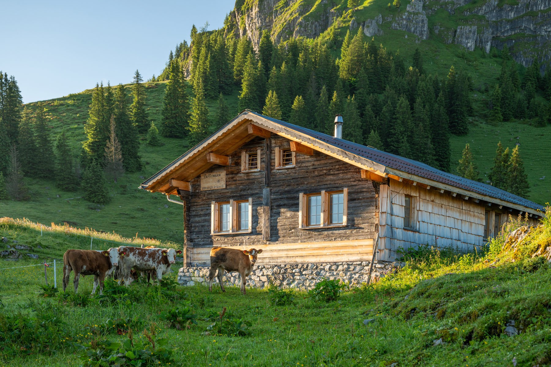chalet-ferienwohnung-axalp